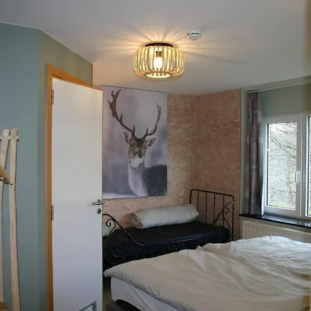 Holiday home Bedecked Holiday Home In Vielsalm With Sauna *