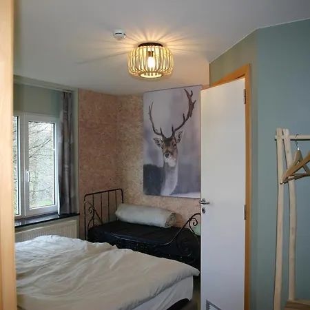 Bedecked Holiday Home In Vielsalm With Sauna Holiday home *