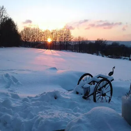 Vakantiehuis In With Sauna *