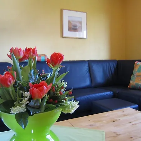 Bedecked Holiday Home In Vielsalm With Sauna * Vielsalm