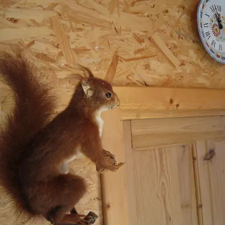 In With Sauna Vielsalm